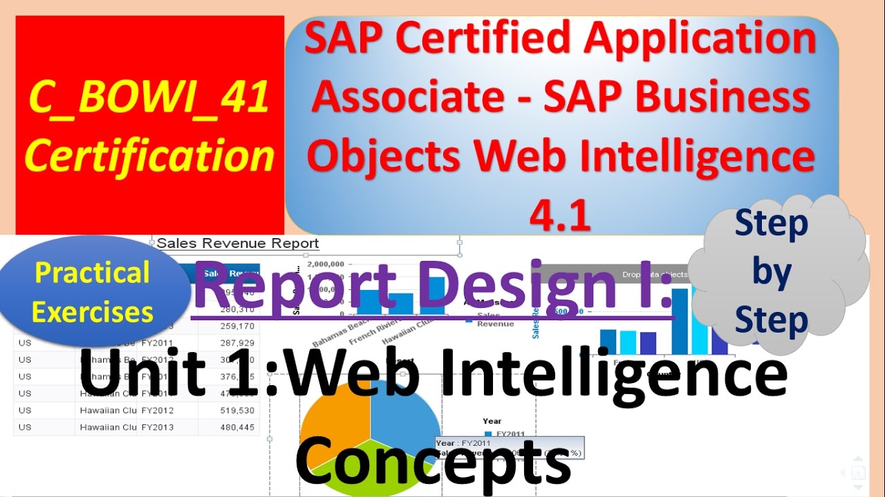 SAP BO Tutorials : Practical Examples: Web Intelligence Concepts