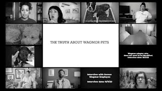 THE TRUTH ABOUT WAGMOR PETS