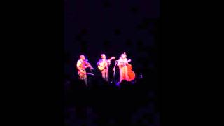 Hundred Dollars - Punch Brothers