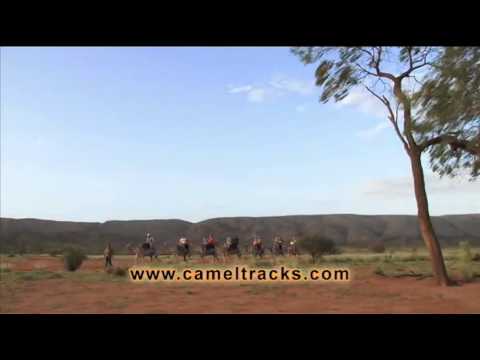 Pyndan Camel Tracks