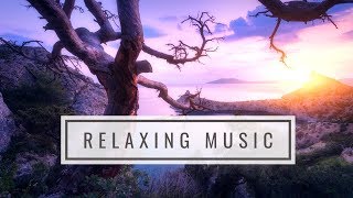 Relaxing Music: Manifesting Happiness, Harmony &amp; Inner Peace - Dissolve Negative Thoughts &amp; Emotions