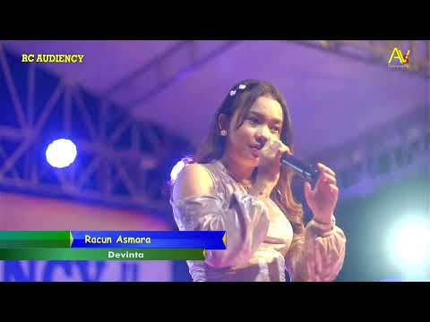 RACUN ASMARA - DEVINTA - RC AUDIENCY
