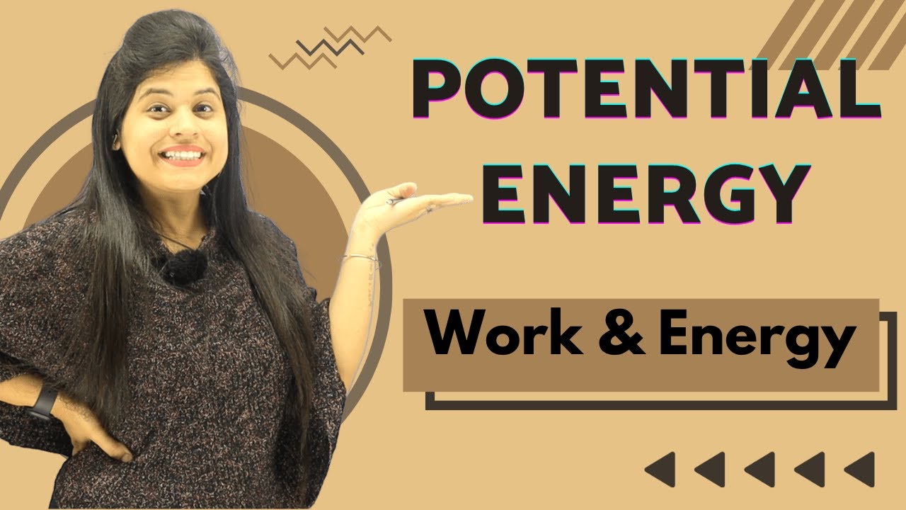 Potential Energy | Chapter 11 | Work And Energy | Class 9 Science