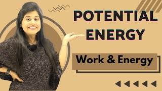Potential Energy | Chapter 11 | Work And Energy | Class 9 Science
