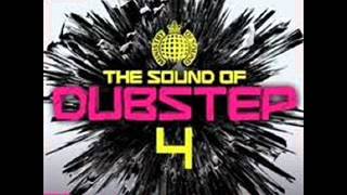 Natural Disaster - Laidback Luke vs Example - Skream Remix  The sound of dubstep 4