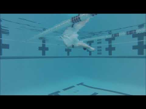 Boys Seaholm Swim and Dive