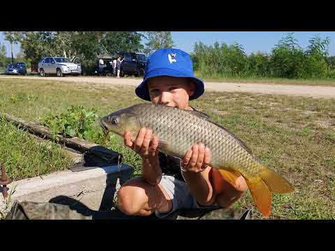 Moby Dick (Piros) Horgásztó - Pontyozás - Túri-Szász Miklós