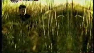 catupecu machu - aveces vuelvo