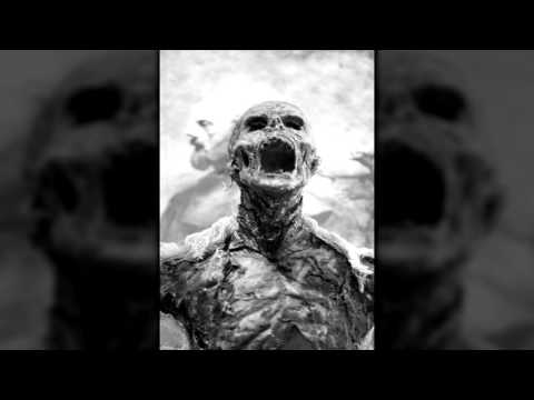 Solitario - Por mis muertos