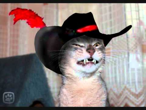 Nedvědi - Mušketýři