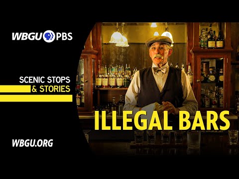 Speakeasies: Hidden Havens of the Prohibition Era | Vibepedia