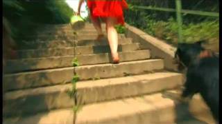 Псхиопатка (отрывок)