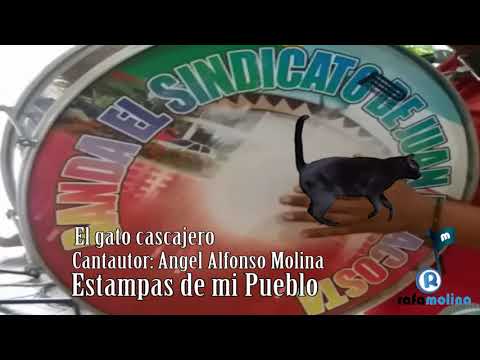 El Gato cascajero - Banda el Sindicato de Juan de Acosta Con Ángel Alfonso "Poncho Molina"