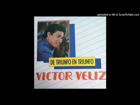 VICTOR VELIZ. 5_ Perro amigo centinela