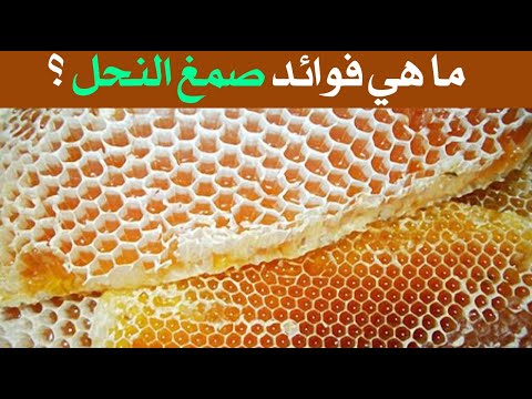 ما هي فوائد صمغ النحل ؟