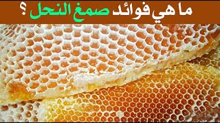 ما هي فوائد صمغ النحل ؟