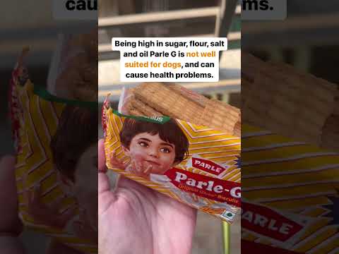 Can dogs eat Parle G? Dog health | food for dogs | dog friendly biscuits | what to feed street dogs?