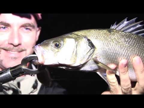 North Craft Lures - Italy promo HD
