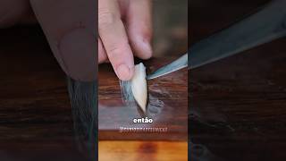 Usando pelos pra fazer pincel 😲 #curiosidades #fatoscuriosos #shorts