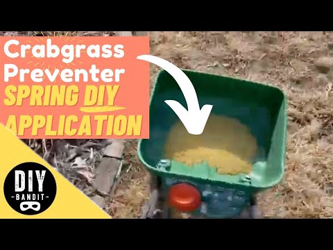 🔥  How (and When) to Apply Crabgrass Preventer in the Spring➔ Plus Which Fertilizer Product to Use