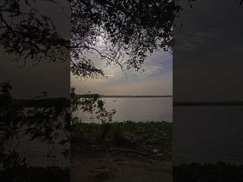 #vibes #naturelovers #chill