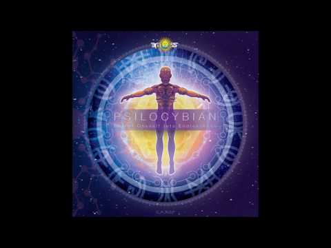 PsiloCybian & Deimos - Waveform with a mind of its own | Chill Space