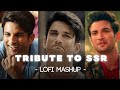 TRIBUTE TO SSR Lofi Mashup Phir Kabhi Qaafirana Jaan Nisar Jaz Scape