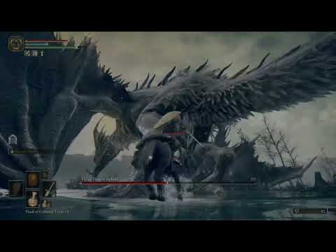 How to Defeat Flying Dragon Agheel in Elden Ring