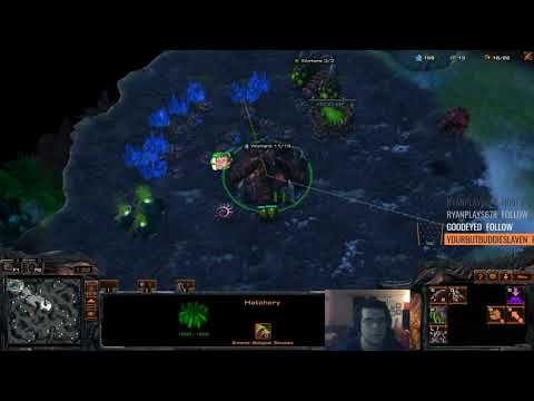 ZvT 1 base ling drop cheese