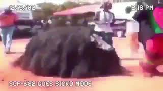 Scp-682 goes sicko mode