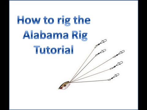 How To: Rig the Alabama Rig