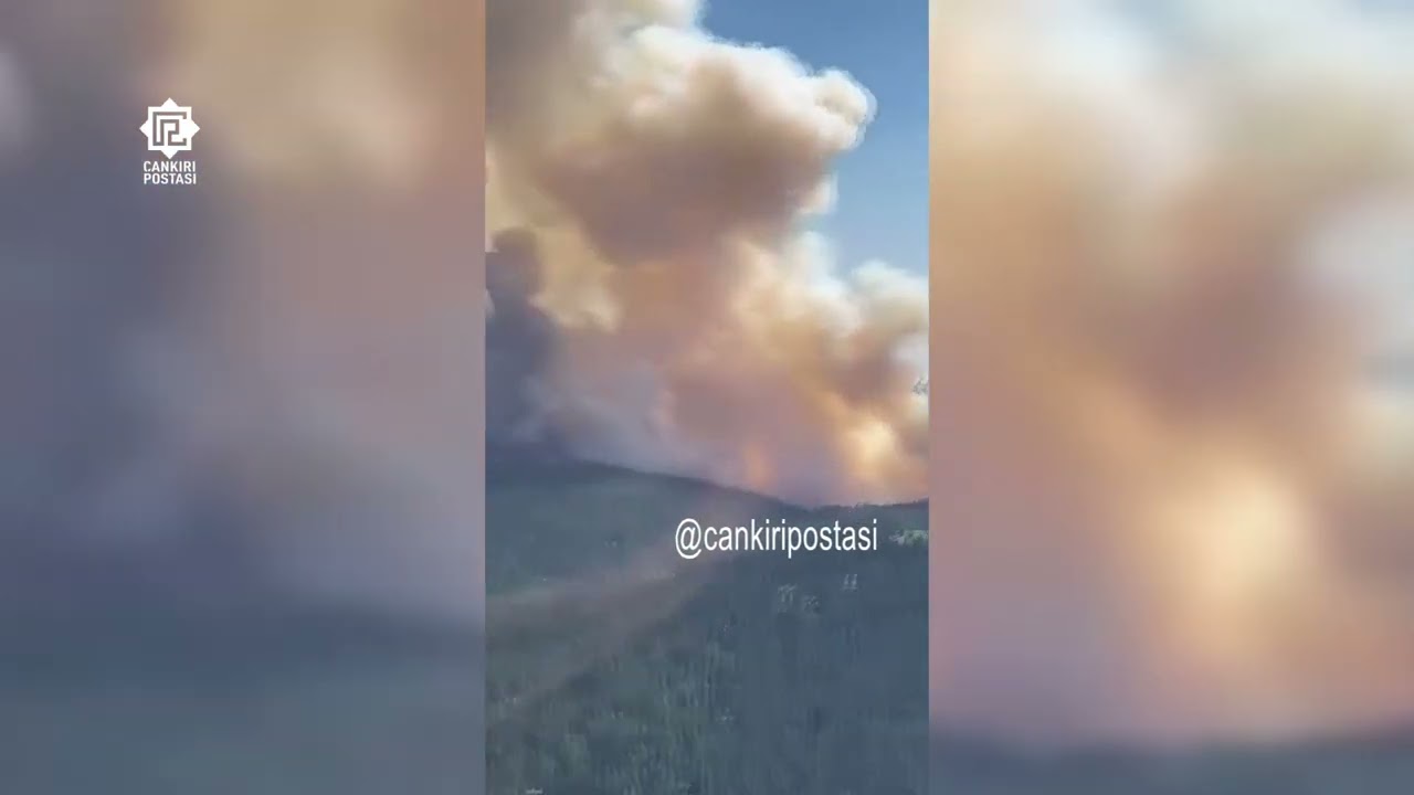 Işıkdağı’nda orman yangınıyla mücadelede son durum