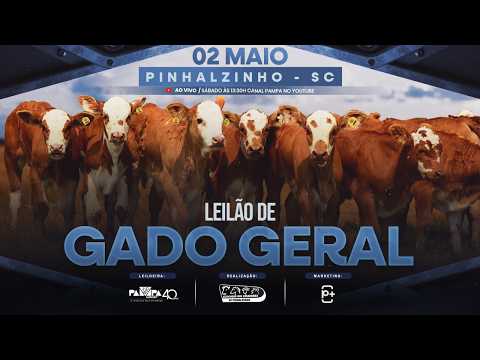Leilão de Gado Geral, PINHALZINHO/SC - 02/05/2026 14h