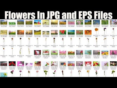 Different Flowers In JPG and EPS Files | Aneela Graphics |