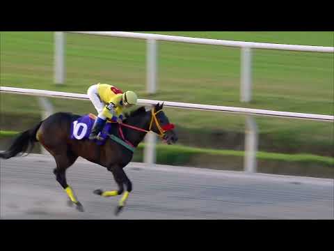 230415 c08 SI SI PARTNER