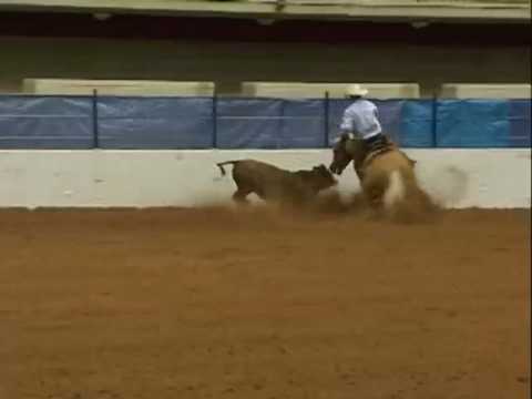 Nothing But A Good Ride