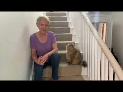 Liz Callaway- "The Place Where the Lost Things Go" from Mary Poppins Returns