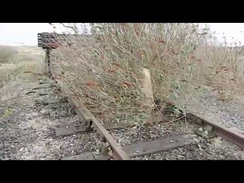 The End of the Line - Point of Ayr Colliery railway line, Flintshire, Wales UK