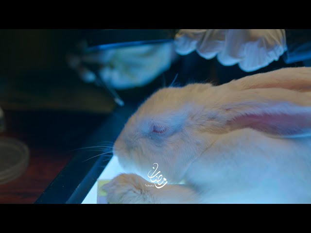 البرومو الثاني من اشغال شقة حصريا على MBCMASR وشاهد في رمضان 2024 رمضان يجمعنا