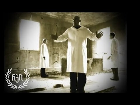 Prostata mit petrifikatami Bärengalle von Prostatakrebs