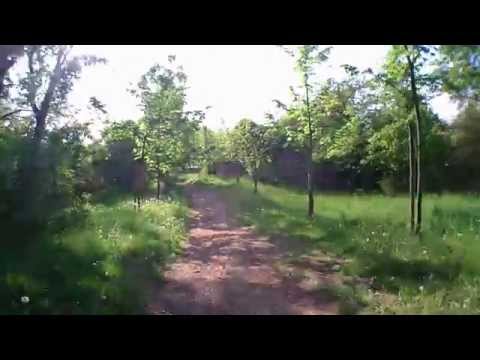 Zum Friedenskreuz Jakobsberg Ockenheim