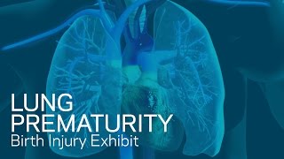 How a surfactant works, is it fluid mechanics? (LUNG PREMATURITY)