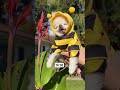 Tiny Chihuahua Cedric Rates Flowers