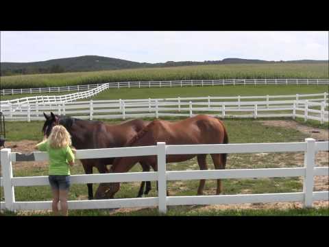 Pavement Ends- Little Big Town- Music Video