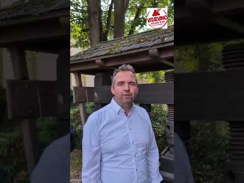 Video of Christian Schwörer