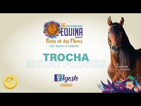 66ª EXPOINTERNACIONAL EQUINA FERIA DE LAS FLORES "AA" 2025 - DIA 5 - TROCHA COLOMBIANA.