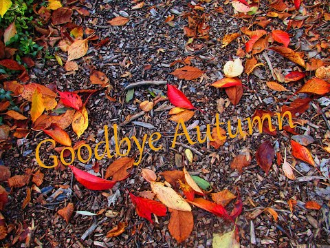 "Goodbye, Autumn" (music/pictures by oktofred with Korg Krome EX 88)