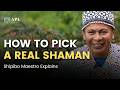 How to Pick a Real Ayahuasca Shaman | Shipibo Healer With 27 Years