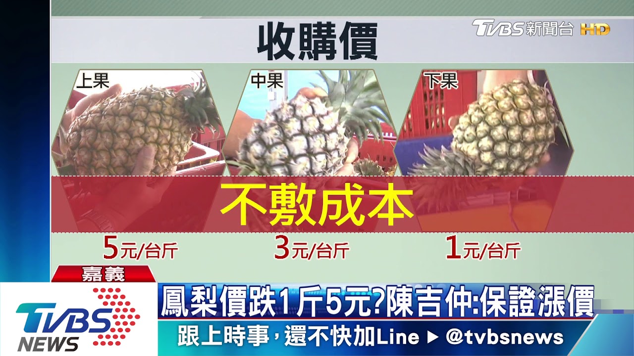 鳳梨價跌1斤5元？　陳吉仲：保證漲價