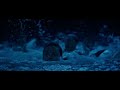 Titanic Jack Punches Man In Water